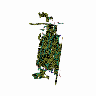 Export Image