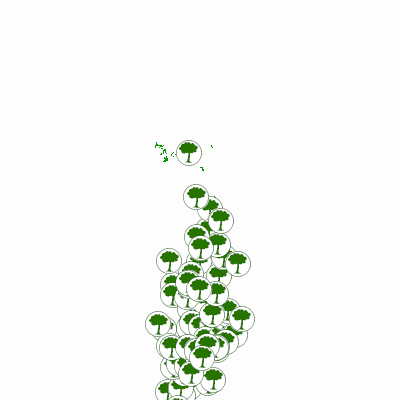 Export Image